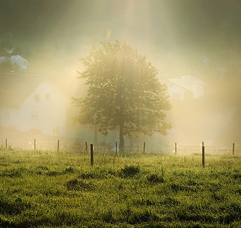 网页在线DDOS压力测试