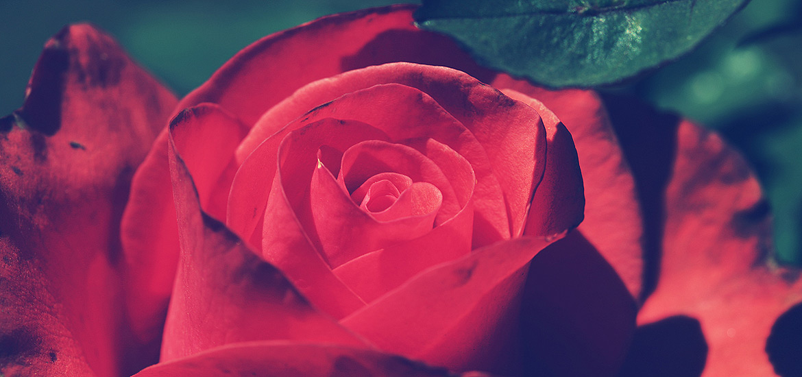 ddos攻击测试工具